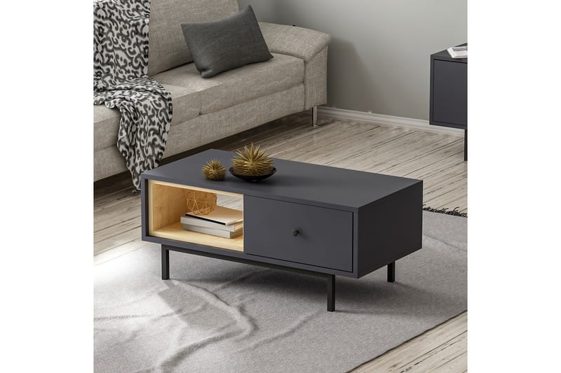 Papias Soffbord 90 cm med Förvaring Hylla + Lucka - Antracit/Svart - Möbler - Bord & matgrupper - Soffbord
