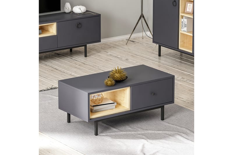Papias Soffbord 90 cm med Förvaring Hylla + Lucka - Antracit/Svart - Möbler - Bord & matgrupper - Soffbord