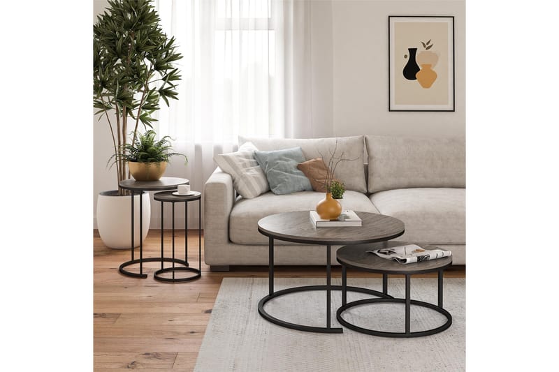 Tamazi Satsbord, Grå