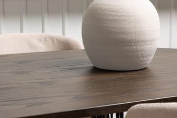 Stone Matbord 220x100x74 cm Oval med 4 Modesto Matstol - Möbler - Bord & matgrupper - Matgrupper
