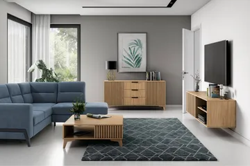 Entsian Vägghängd TV-bänk 40 cm med Förvaring i Ek - Brun - Möbler - Tv möbel & mediamöbel - TV bänk & mediabänk