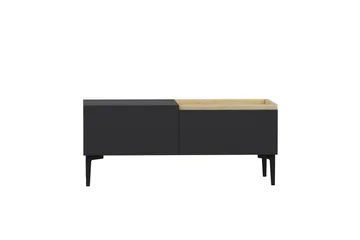 Mijara Tv-bänk 160x37 cm Svart - Hanah Home - Möbler - Tv möbel & mediamöbel - TV bänk & mediabänk