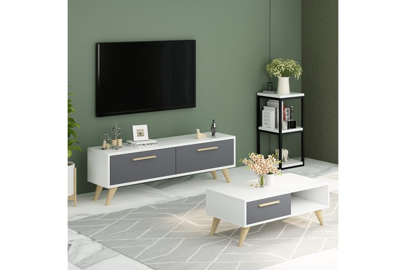 Desgrar Tv-bänk 120x45 cm - Vit - Möbler - Tv möbel & mediamöbel - TV bänk & mediabänk