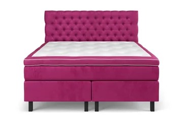 Celine Kontinentalsäng 160x200cm - Rosa/Sammet - Möbler - Säng - Kontinentalsäng