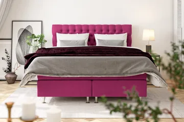 Celine Kontinentalsäng 180x200cm - Rosa/Sammet - Möbler - Säng - Kontinentalsäng