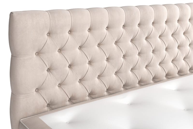 Celine Kontinentalsäng 160x200cm - Beige/Sammet - Möbler - Säng - Kontinentalsäng