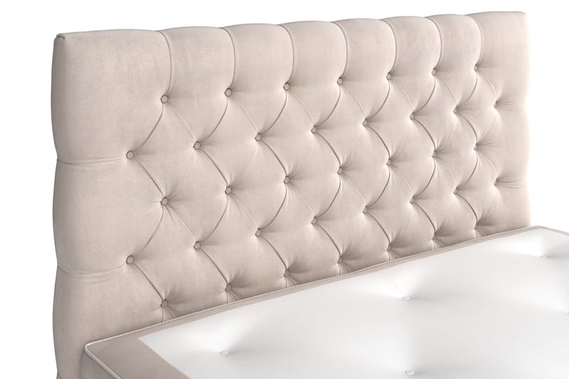 Celine Sängpaket 140x200cm - Beige / Sammet - Möbler - Säng - Kontinentalsäng