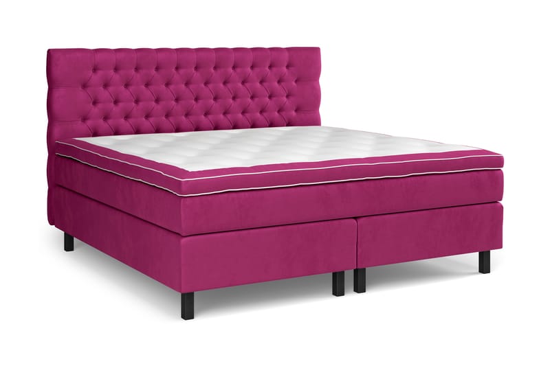Celine Sängpaket 210x210cm - Rosa/Sammet - Möbler - Säng - Kontinentalsäng