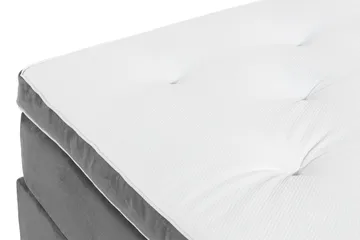 Ella Kontinentalsäng 90x200cm - Grå/Sammet - Möbler - Säng - Kontinentalsäng