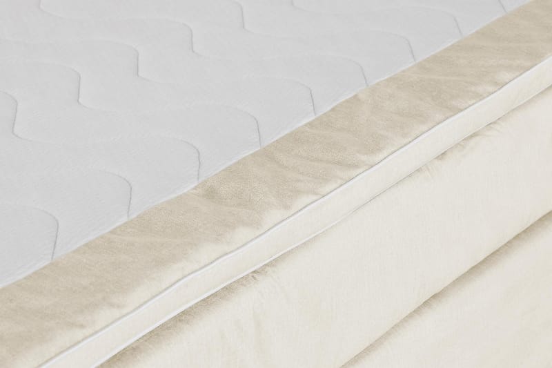 Princess Kontinentalsäng 160x200cm - Beige/Sammet - Möbler - Säng - Kontinentalsäng