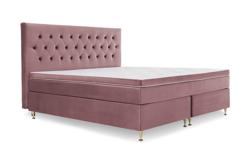 Royal Velvet Komplett Sängpaket 210x210 - Rosa med Låga Guldben - Kontinentalsäng - Dubbelsäng - Familjesäng