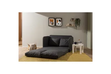 2-sits bäddsoffa Rubby (128 x 70 x 66 cm) Mörkgrå - Mörkgrå - Möbler - Soffa - Bäddsoffa