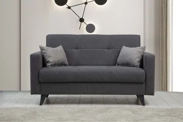 Darcia 2-sits Längsbäddad Bäddsoffa 55x125 cm med Förvaring i Tyg - Antracit - Möbler - Soffa - Bäddsoffa