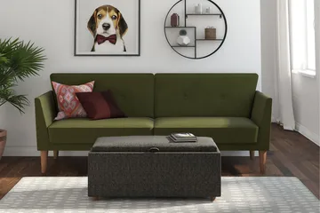 Regal 2-sits Bäddsoffa Grön - Novogratz - Möbler - Soffa - Bäddsoffa