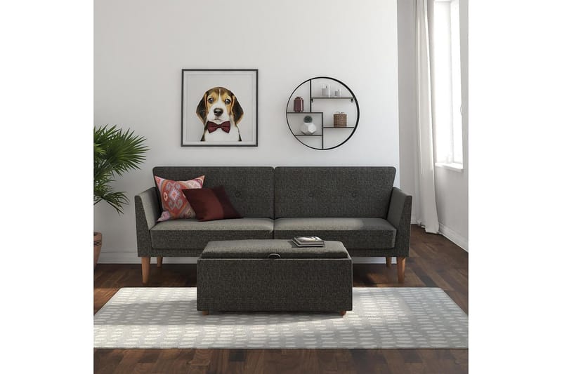 Regal 2-sits Bäddsoffa Mörkgrå - Novogratz - Möbler - Soffa - Bäddsoffa