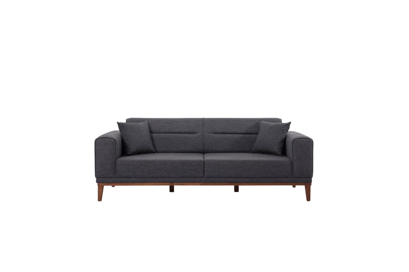 Wyong Bäddsoffa 3-sits 223x94 cm - Antracit - Bäddsoffa - Bäddsoffa 3 sits