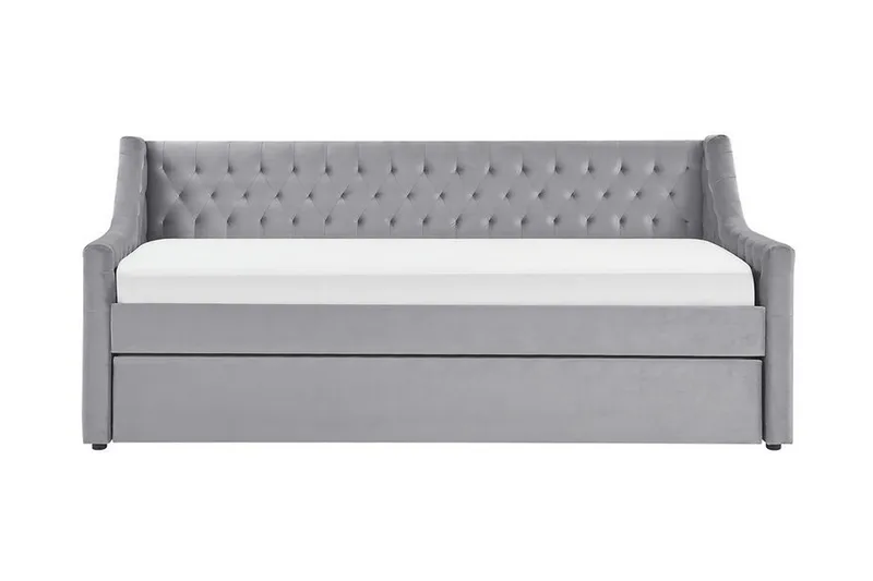 Dagbädd 90 x 200 cm sammet grå MONTARGIS, Grå