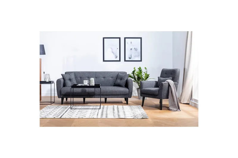 Hunterville Soffgrupp, Antracit