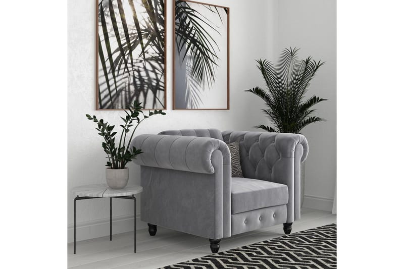 Fåtölj Felix Ljusgrå, Sammet/Trä/Metall - Ljusgrå, Sammet/Trä/Metall - Möbler - Stolar & fåtöljer - Fåtölj