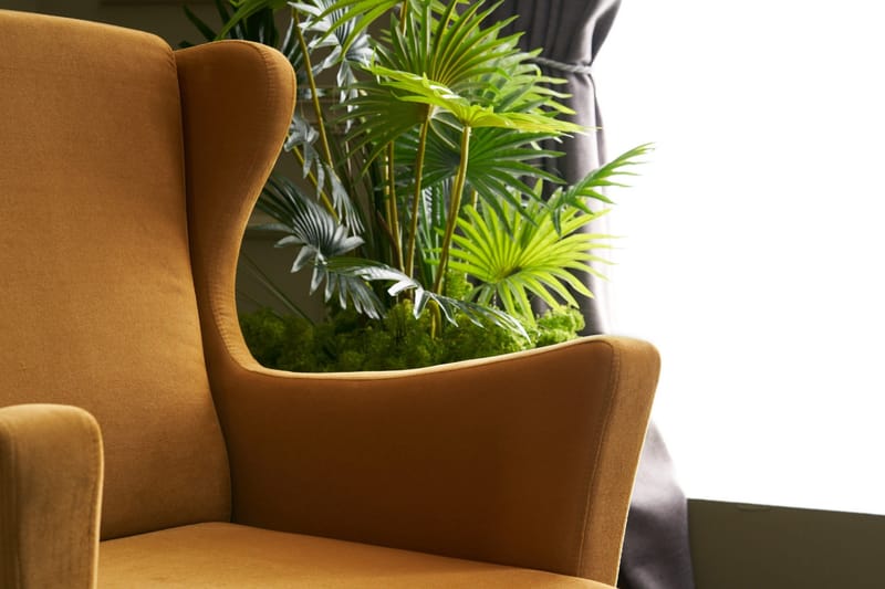 Edgara Fåtölj - Sammet/Guld/Natur - Möbler - Stolar & fåtöljer - Fåtölj