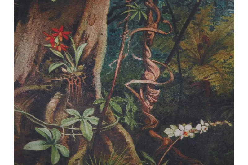 Vossem Fåtölj Djungelmönster - Mörkgrön - Möbler - Stolar & fåtöljer - Fåtölj - Fåtölj utan armstöd