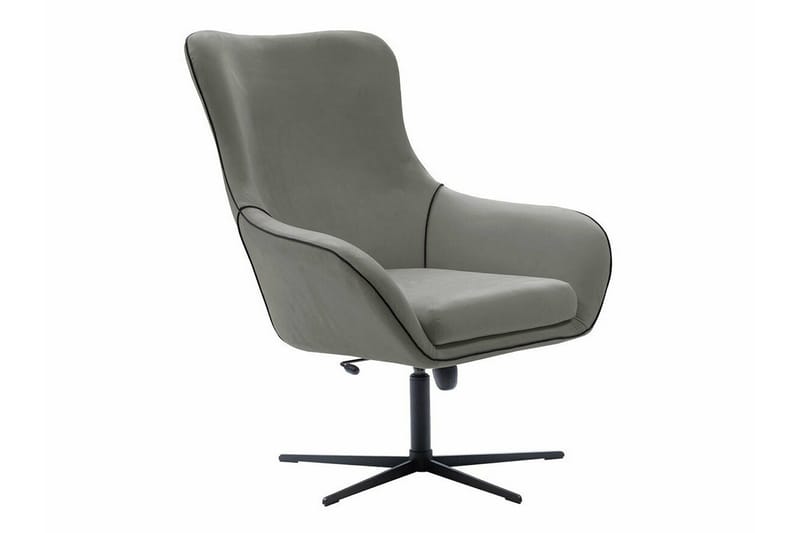 Laytown Modern Fåtölj i Sammet med Metallben, Grå