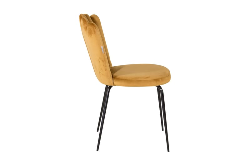 Limhamn Stol Sammet - Gul - Möbler - Stolar & fåtöljer - Matstol & köksstol