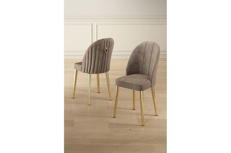 Matstol Orlen Cappuccino / guld - Cappuccino / guld - Möbler - Stolar & fåtöljer - Matstol & köksstol