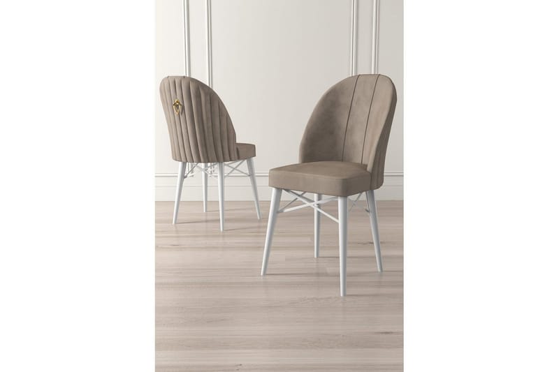 Matstol Ritim Cappuccino / vit - Cappuccino / vit - Möbler - Stolar & fåtöljer - Matstol & köksstol