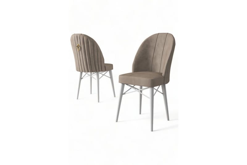 Matstol Ritim Cappuccino / vit - Cappuccino / vit - Möbler - Stolar & fåtöljer - Matstol & köksstol