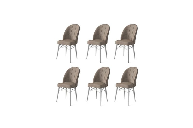 Matstol Ritim Cappuccino / vit - Cappuccino / vit - Möbler - Stolar & fåtöljer - Matstol & köksstol