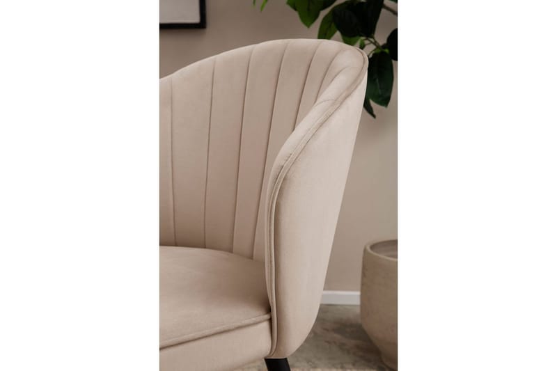 Matstol Wohnling sammet klädd med metallben, modern loftstil Beige - Beige - Möbler - Stolar & fåtöljer - Matstol & köksstol