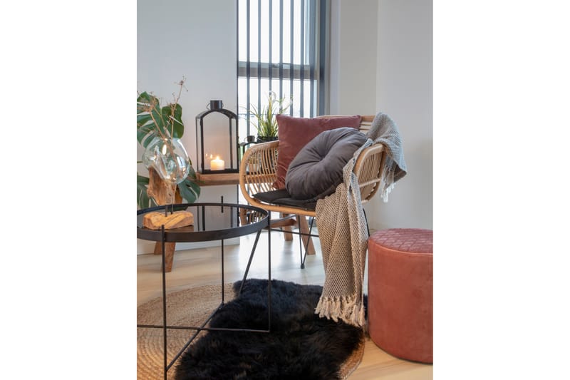 Brodhead ArmUtestolar med Kudde - Brun - Utemöbler - Balkong - Balkongmöbler - Balkongstol