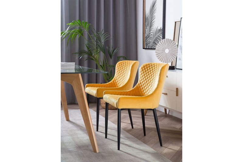 Colino Stol 2-Pack Sammet - Gul - Möbler - Stolar & fåtöljer - Matstol & köksstol