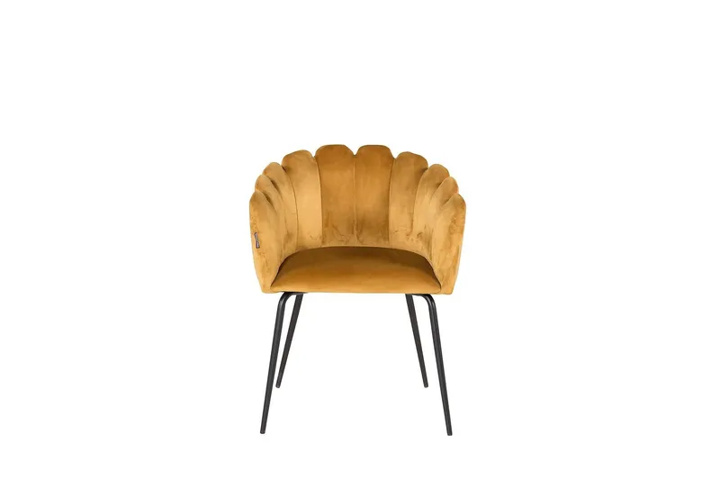Limhamn Stol Sammet - Gul - Möbler - Stolar & fåtöljer - Matstol & köksstol