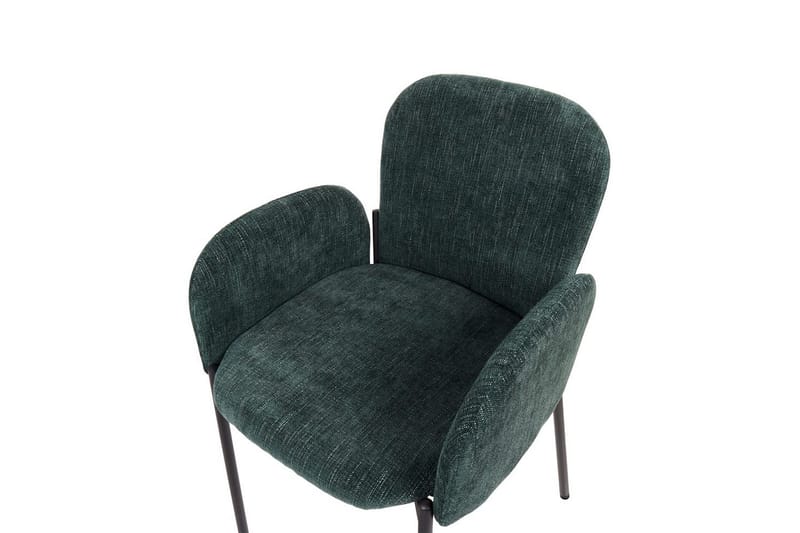 Set med 2 matstolar Albee - Grön, Svart - Möbler - Stolar & fåtöljer - Matstol & köksstol