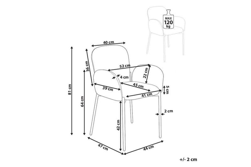 Set med 2 matstolar Albee - Mintgrön, Svart - Möbler - Stolar & fåtöljer - Matstol & köksstol