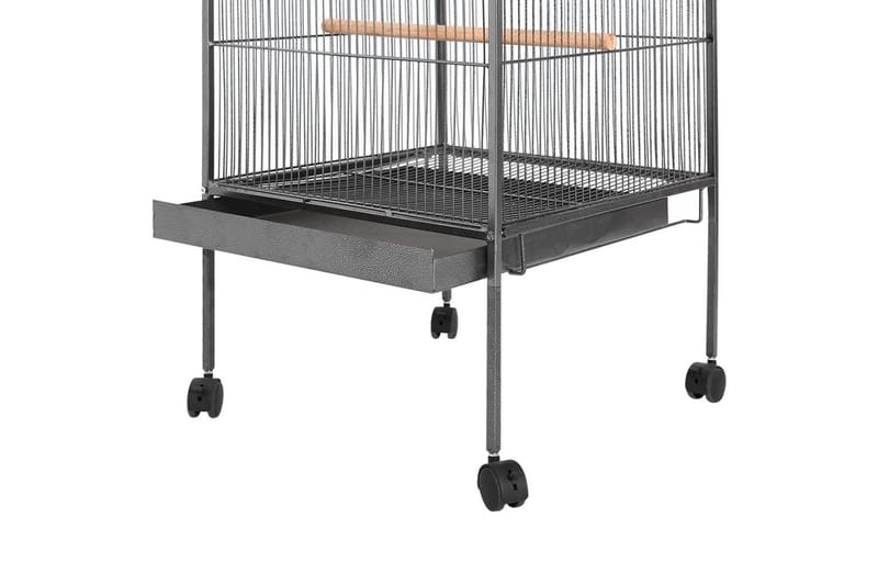 Fågelbur svart 54x54x146 cm stål - Svart - Sport & fritid - För djuren - Fågel - Fågelbur & voljär