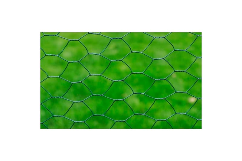Hönsnät galvaniserat med PVC-beläggning 25x1 m grön - Grön - Hönshus - För djuren - Hönsgård