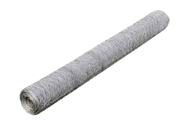 Hönsnät galvaniserat stål 25x0,75 m silver - Silver - Trädgårdsstängsel & panelstängsel