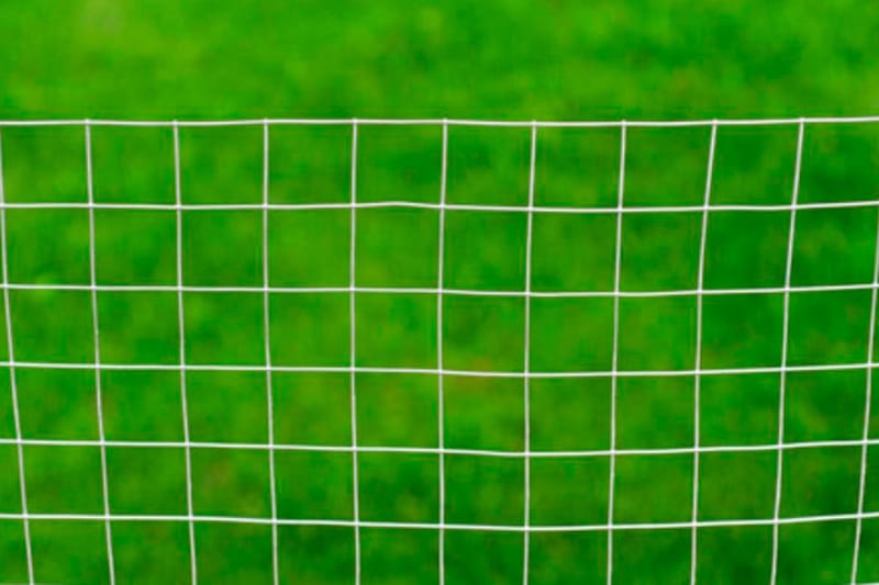 Hönsnät galvaniserat stål 25x1 m silver - Silver - Sport & fritid - För djuren - Fågel - Hönshus