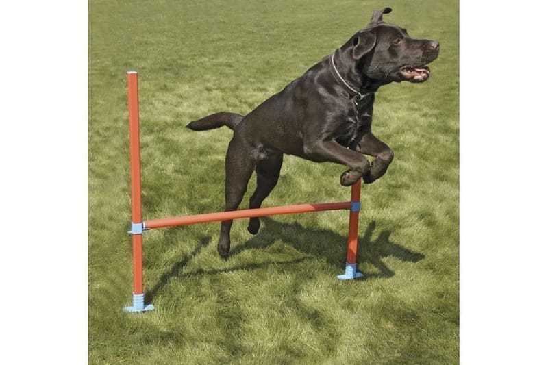 Agility-Hinder med Bärväska Orange/Turkos - Hundträning & agility