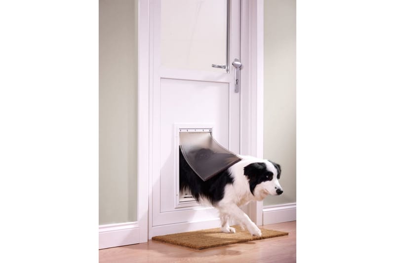 PetSafe Husdjurslucka 640 aluminium & 45 kg - Sport & fritid - För djuren - Katt - Kattlucka & kattnät
