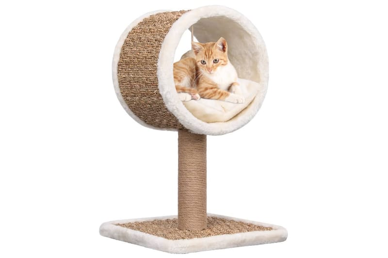 Kattmöbel med tunnel och leksak 56 cm sjögräs - Beige - Sport & fritid - För djuren - Katt - Kattmöbler - Katthus