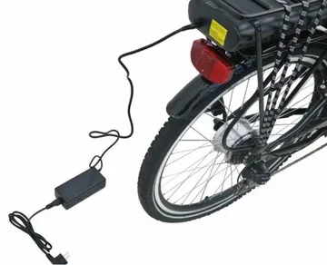 Eldriven Cargobike | Lådcykel för 4 barn | 250W Ananda-motor, LG-batteri & Shimano 6-växlar - Sport & fritid - Friluftsliv - Cyklar