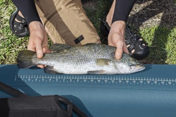 HydroForce Angler Elite Fiskekajak 380×99 cm |  Fish ruler, ripstop & komplett set | Bestway (65197) - Sport & fritid - Friluftsliv - Kanot & kajak