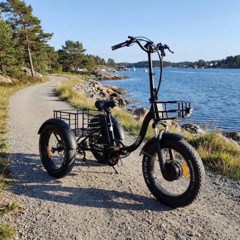 Trehjulig elcykel | Fatbike-däck | 6 växlar Shimano | 250W – 13Ah | Svart - Sport & fritid - Friluftsliv - Cyklar