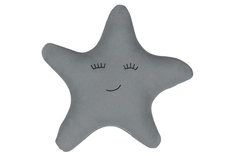 Prydnadskuddar Bhopal, undefined