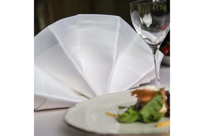 Servett Fritz Magnus Trading Delight 50 x 50 cm Vit - Textil & mattor - Kökstextilier - Tygservetter