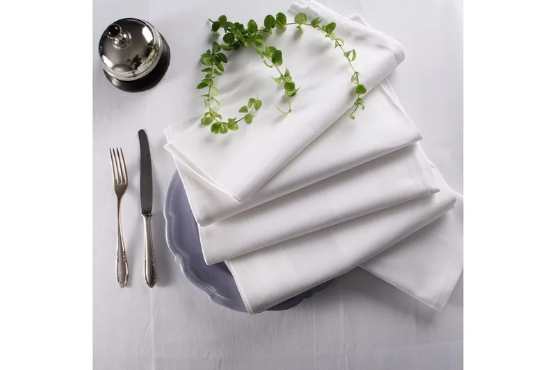 Servett Fritz Magnus Trading Delight 50 x 50 cm Vit - Textil & mattor - Kökstextilier - Tygservetter